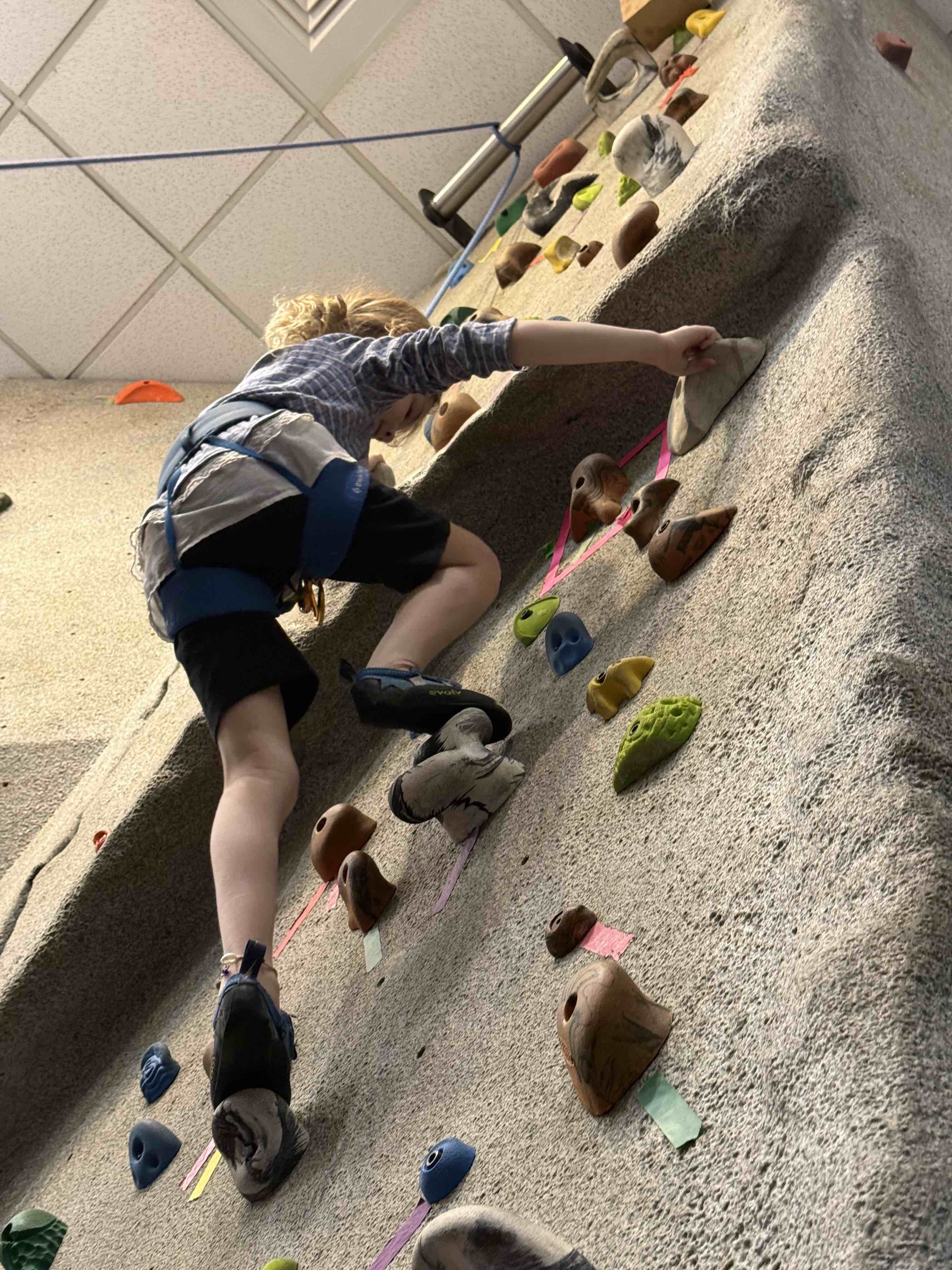 Granddaughters On A Wall… Watch these li'l spiders climb!