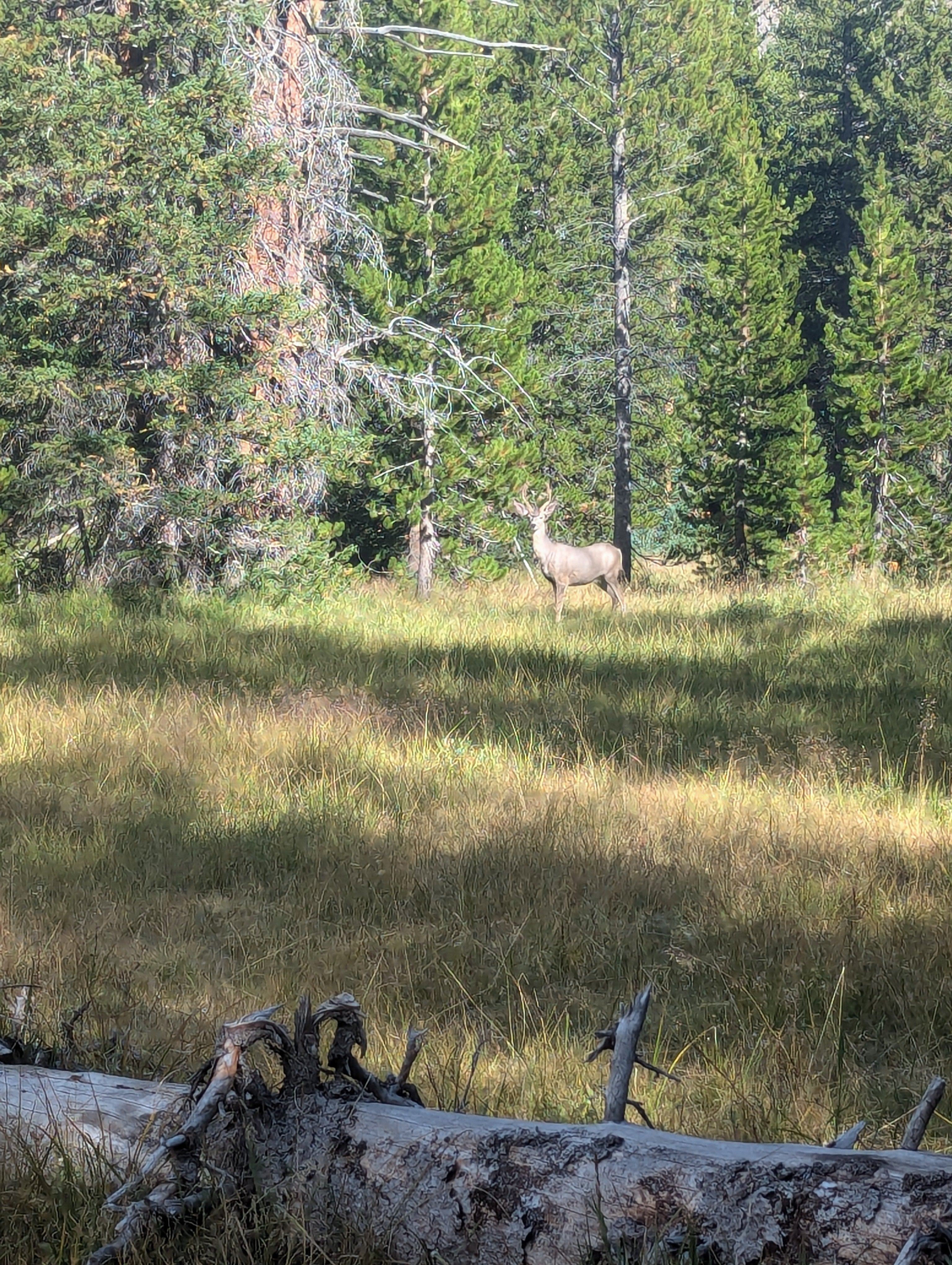 Training & Appreciating at Altitude… Part 1