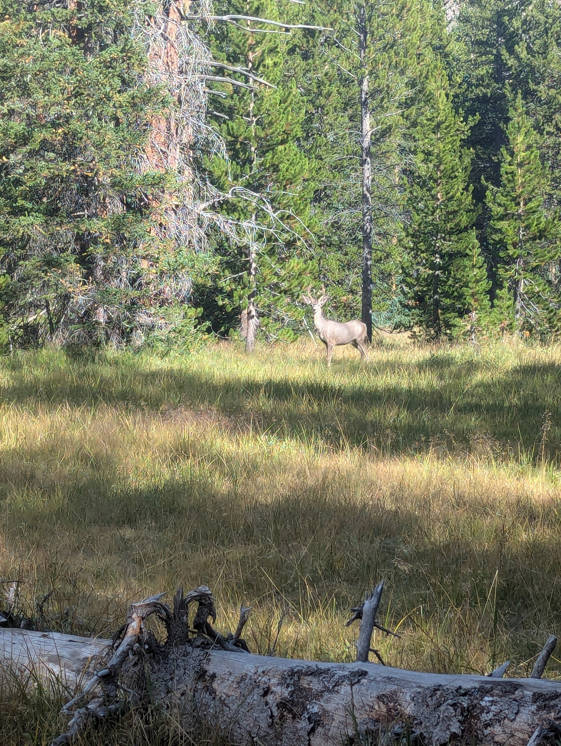 Training & Appreciating at Altitude… Part 1