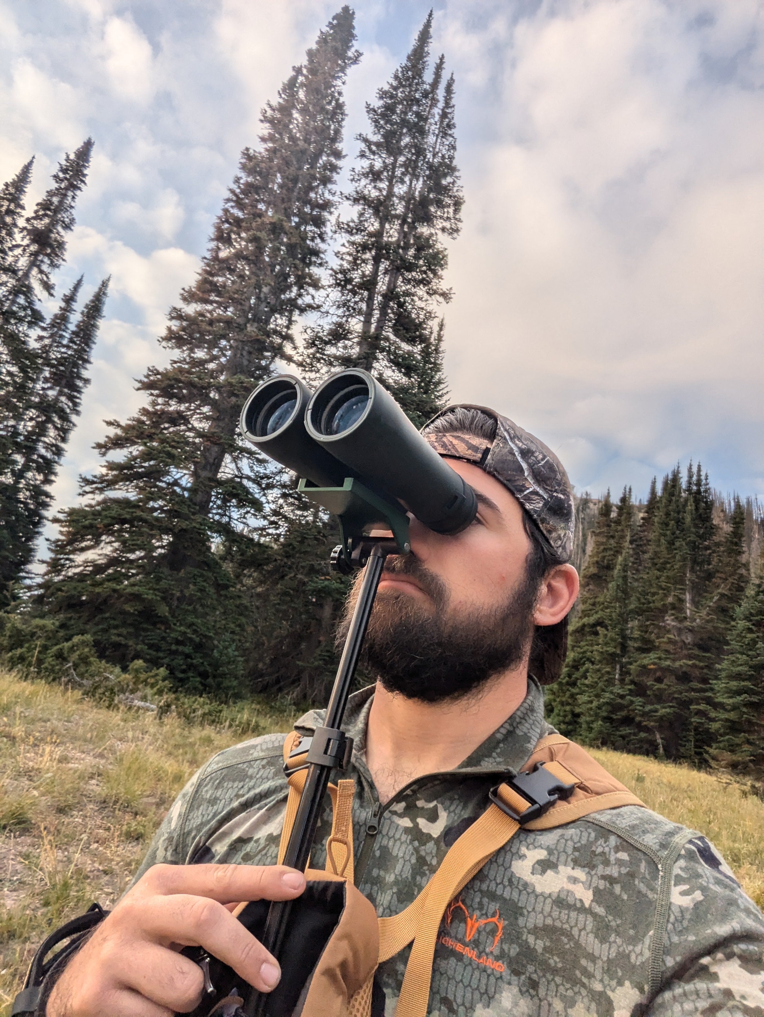 Elk in the Rockies… Are they really there?