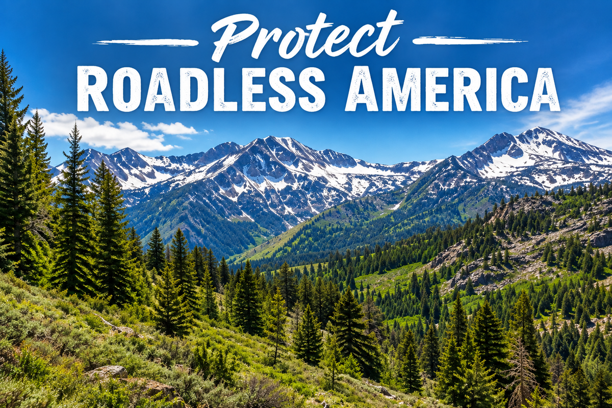 Let's not let the Feds Open Roadless areas for, well… roads!