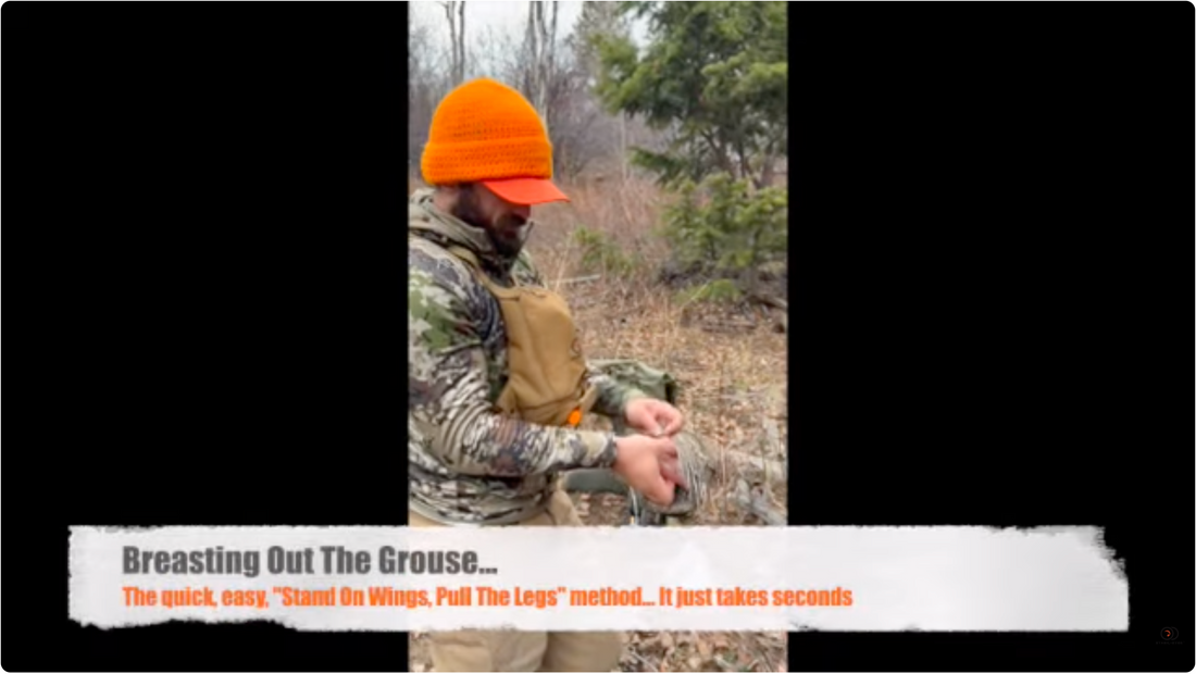 Photo of the Stand On Wings Pull Legs method of field dressing a grouse