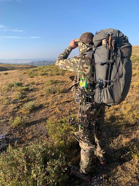 Bow Spider Bow Packing & Storage System